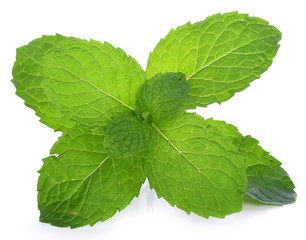 Fresh raw mint leaves isolated on white background