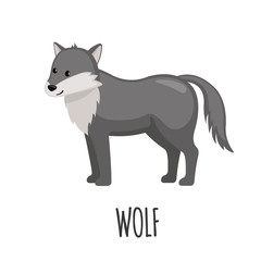 Cute Wolf in flat style.