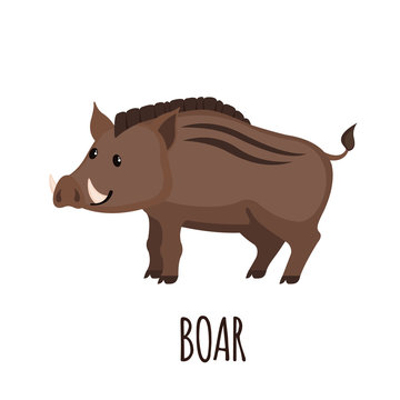 Cute wild Boar in flat style.