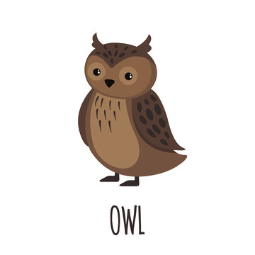 Cute Owl in flat style.
