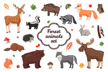 Forest animals set.