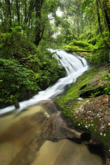 waterfall in  deep forest on mountain