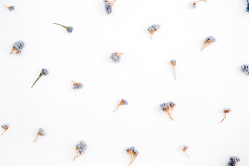 Floral pattern made of blue dried flowers on white background. Flat lay, top view. Floral pattern.