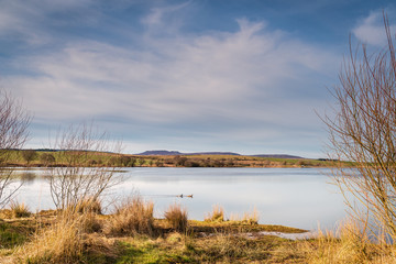 Fontburn Reservoir and Fishery / Fontburn Reservoir in Northumberland is a popular place for...