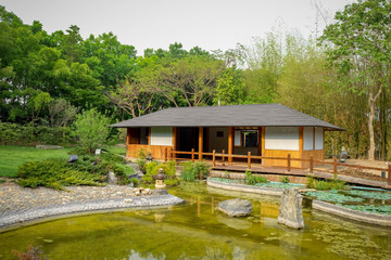 Fototapeta premium trees in the Garden japan style