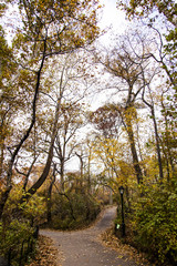 Central Park Path