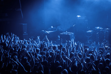 crowd with raised nands during concert