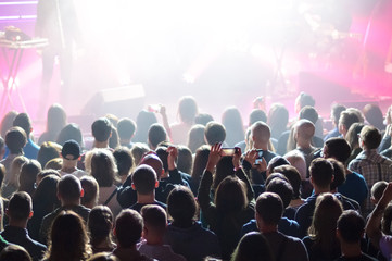 Obraz na płótnie Canvas crowd during a concert