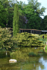 Fototapeta premium parc naturel