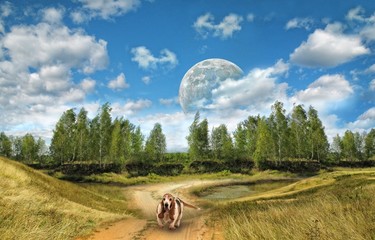 Fototapete bei efototapeten.de bestellen   