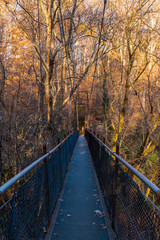 Steel span bridge in the Lullwater Park, Atlanta, USA.