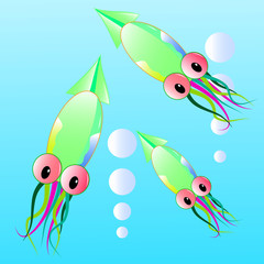 кальмары на голубом фоне  © Artsergei