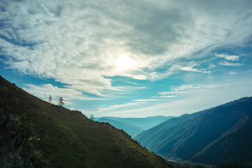Fototapeta premium A breathtaking landscape of the valley among the hilly mountains. Blue mountains in the distance. Russia, the Altai Mountains.