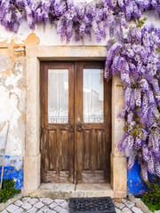 Purple wisteria plant growing arounf doors of an old house in Portugal