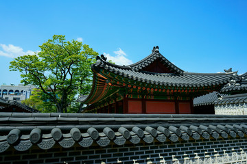 Obraz premium Changdeokgung Palace Secret Garden (창덕궁후원)