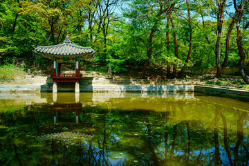 Changdeokgung Palace Secret Garden (창덕궁후원)