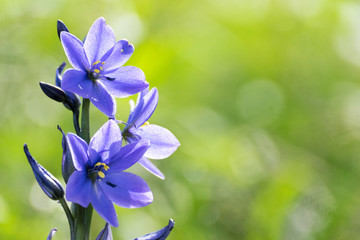 438 Enormous Wall Murals Canvas Prints Stickers Wallsheaven