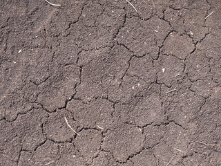 Cracks in dry soil, Australia 2017