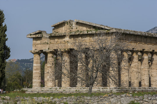 The second temple of hera at the ancient Greek city of Paestum, Italy