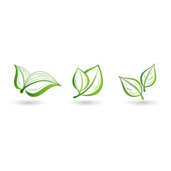 Set of green leaves. Element for design.