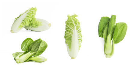 Chinese cabbage