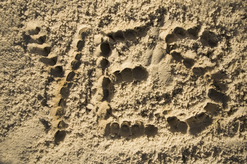closeup of sand pattern of a beach .The word yes on the sand, the summer vacation theme