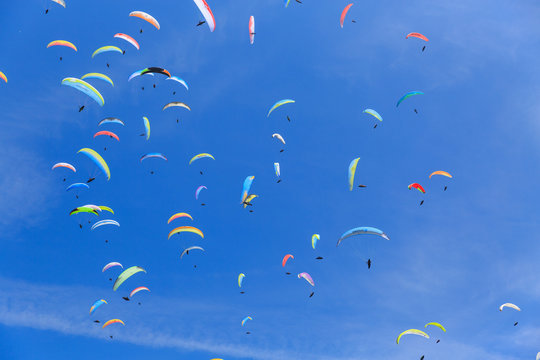 many paragliders on the sky