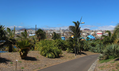 Palmetum de Santa Cruz de Tenerife