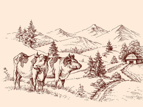 Cows Farm Drawing, Dairy Label Design Grazing Cattle