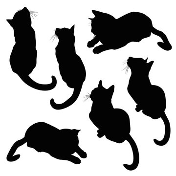 cat silhouette illustration set