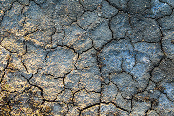 The texture of the surface of the earth that has cracked from drought.