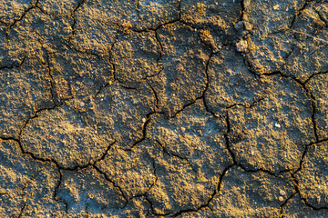 The texture of the surface of the earth that has cracked from drought.