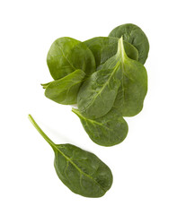 spinach isolated on white background