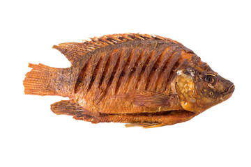 Deep Fried Tilapia Fish with salt on white background.