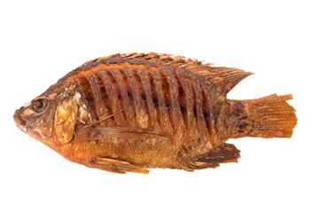 Deep Fried Tilapia Fish with salt on white background.