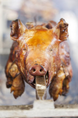 Pig on a spit