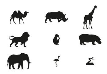 Zoo minimal vector illustration, animals silhouette isolated on a white background
