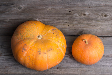 Ripe pumpkins on a wooden background
