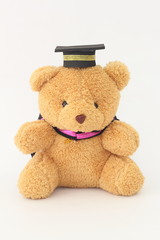 Brown bear wearing a graduation cap on a white background.