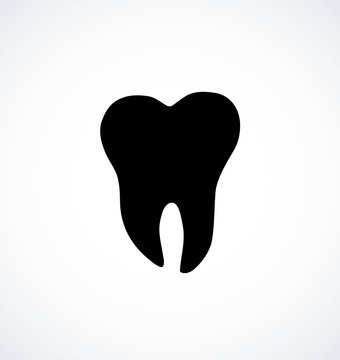 Tooth. Vector drawing