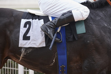 Race horse with jockey before the race.