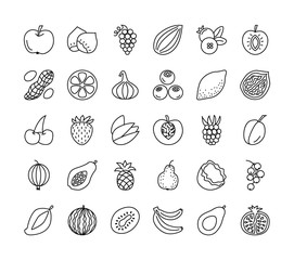 Vector line icon collection. Fruits, berries and nuts. Healthy vegetarian food. Apple, cherry, pineapple, grape, hazelnut, peanut; strawberry, raspberry.