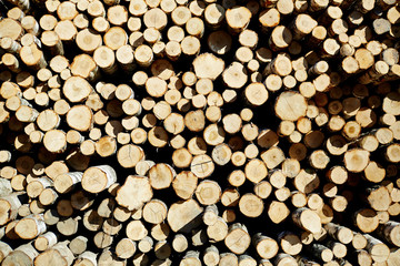 Stack of firewood in rural environment on sunny day