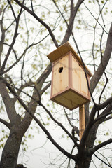 A simple wooden handmade birdhouse hangs on the tree of spring. 