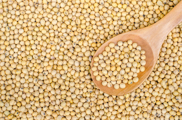 Soybean in wood spoon on Soybean background. Top view