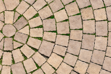 Stone paving texture. Abstract pavement background.