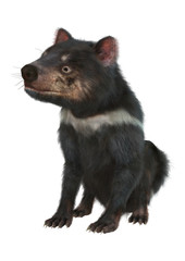 3D Rendering Tasmanian Devil on White