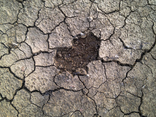 Crack soil on dry season