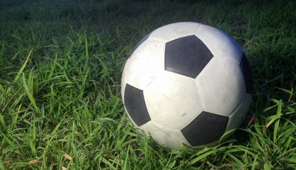 old ball on the green grass