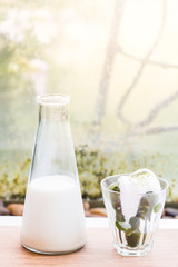 Organic ice-cream with a fresh milk in glass bottle.